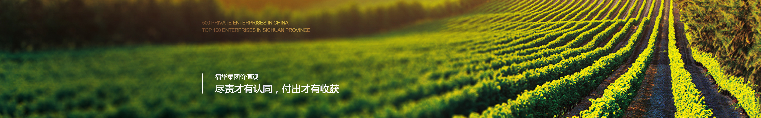 关于布拖县农业投资有限责任公司